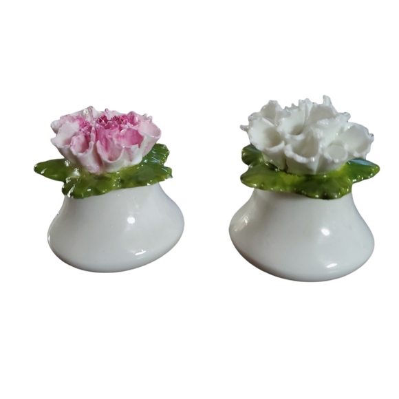 VTG Aynsley Fine Bone China Salt & Pepper Shakers, Pink & White Carnation - Picture 3 of 5